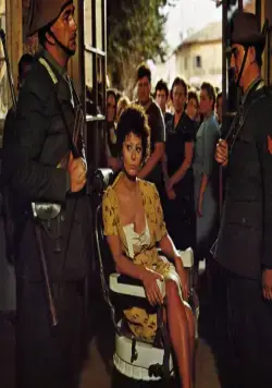 Подсолнухи (1970) в хорошем качестве смотреть онлайн Подсолнухи (1970) фильм в хорошем качестве смотреть онлайн