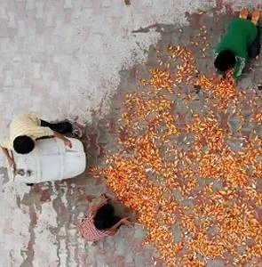 Песня соловьев (2008) в хорошем качестве смотреть онлайн Песня соловьев (2008) фильм в хорошем качестве смотреть онлайн