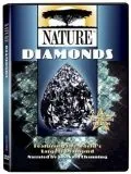 Природа / Nature (1982) cериал смотреть онлайн Природа / Nature (1982) cериал смотреть онлайн в хорошем качестве