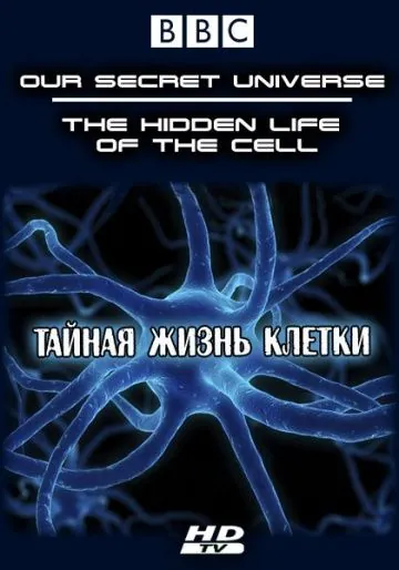 Внутренняя вселенная: Тайная жизнь клетки / Our Secret Universe: The Hidden Life of the Cell (2012) фильм смотреть онлайн в хорошем качестве