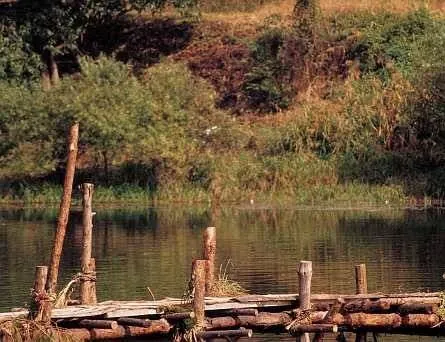 Сочувствие господину Месть (2002) смотреть онлайн бесплатно Сочувствие господину Месть (2002) фильм смотреть онлайн бесплатно