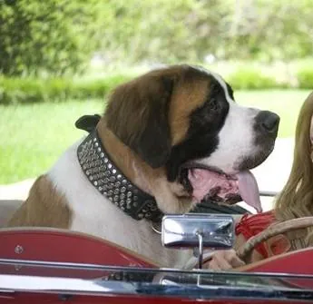 Кинозвезда в погонах (2008) смотреть онлайн Кинозвезда в погонах (2008) фильм смотреть онлайн