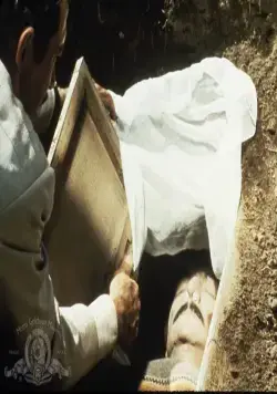 Принесите мне голову Альфредо Гарсиа (1974) смотреть онлайн бесплатно Принесите мне голову Альфредо Гарсиа (1974) фильм смотреть онлайн бесплатно