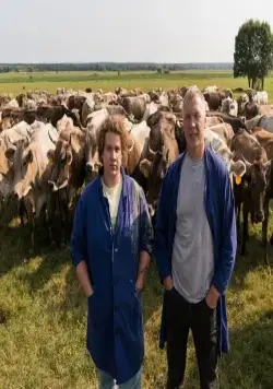 Жуки (2019) 1-4 сезон 1-15,16,17 серия смотреть онлайн бесплатно Жуки (2019) сериал 1-15,16,17 серию 1-4 сезона смотреть онлайн бесплатно