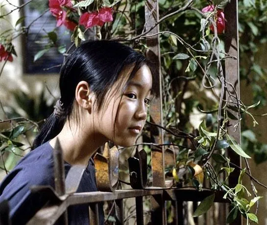 Аромат зеленой папайи (1992) смотреть онлайн бесплатно Аромат зеленой папайи (1992) фильм смотреть онлайн бесплатно