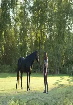 Флика 3 (2012) в хорошем качестве смотреть онлайн Флика 3 (2012) фильм в хорошем качестве смотреть онлайн