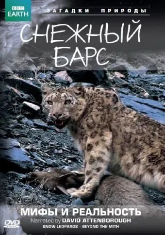 BBC: Снежный барс: Мифы и реальности / Natural World: Snow Leopard - Beyond the Myth (2007) фильм смотреть онлайн BBC: Снежный барс: Мифы и реальности / Natural World: Snow Leopard - Beyond the Myth (2007) фильм смотреть онлайн в хорошем качестве