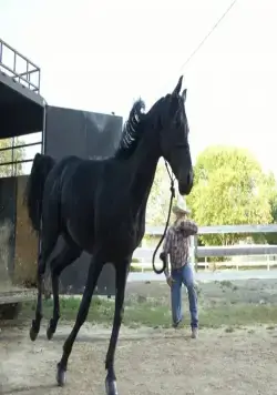 Флика 3 (2012) смотреть онлайн Флика 3 (2012) фильм смотреть онлайн