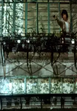 Покровитель (1985) в хорошем качестве смотреть онлайн Покровитель (1985) фильм в хорошем качестве смотреть онлайн