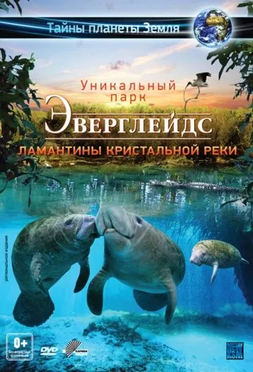 Эверглейдс 3D: Ламантины Кристальной реки / Adventure Everglades 3D: The Manatees of Crystal River (2012) фильм смотреть онлайн Эверглейдс 3D: Ламантины Кристальной реки / Adventure Everglades 3D: The Manatees of Crystal River (2012) фильм смотреть онлайн в хорошем качестве