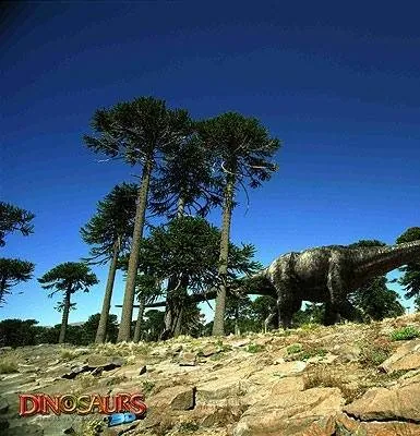 Динозавры Патагонии 3D (2007) смотреть онлайн Динозавры Патагонии 3D (2007) фильм смотреть онлайн