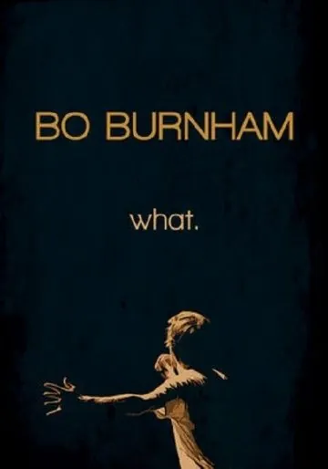Бо Бёрнем: Что. / Bo Burnham: what. (2013) фильм смотреть онлайн в хорошем качестве