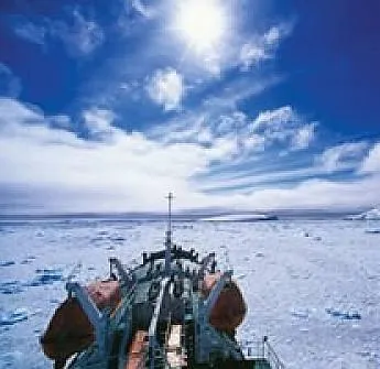 Встречи на краю света (2007) смотреть онлайн бесплатно Встречи на краю света (2007) фильм смотреть онлайн бесплатно