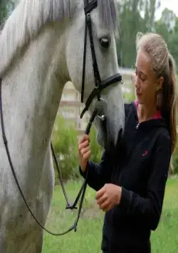 Клара (2010) смотреть онлайн Клара (2010) фильм смотреть онлайн