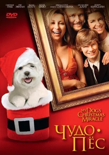 Чудо-пес / My Dog's Christmas Miracle (2011) фильм смотреть онлайн Чудо-пес / My Dog's Christmas Miracle (2011) фильм смотреть онлайн в хорошем качестве