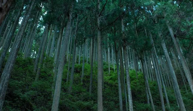 Видение (2018) смотреть онлайн бесплатно Видение (2018) фильм смотреть онлайн бесплатно