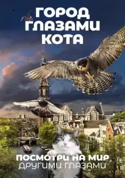 Город глазами кота / Wild Amsterdam (2018) фильм смотреть онлайн в хорошем качестве