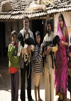 Жизнь Пипли (2010) смотреть онлайн бесплатно Жизнь Пипли (2010) фильм смотреть онлайн бесплатно