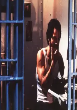 Пинеро (2001) смотреть онлайн бесплатно Пинеро (2001) фильм смотреть онлайн бесплатно