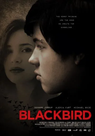 Чёрный дрозд / Blackbird (2012) фильм смотреть онлайн в хорошем качестве