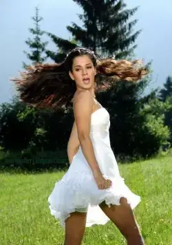 Одинокий волк (2009) смотреть онлайн бесплатно Одинокий волк (2009) фильм смотреть онлайн бесплатно