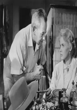 Большая страна (1958) смотреть онлайн бесплатно Большая страна (1958) фильм смотреть онлайн бесплатно