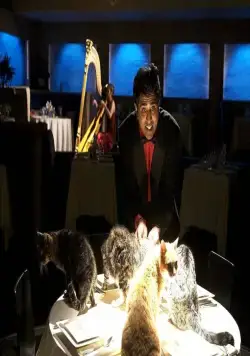 Верзила Салмон (2009) в хорошем качестве смотреть онлайн Верзила Салмон (2009) фильм в хорошем качестве смотреть онлайн