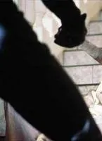 Бассейн (2001) в хорошем качестве смотреть онлайн Бассейн (2001) фильм в хорошем качестве смотреть онлайн