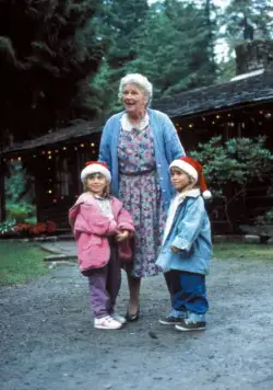 Прячься, бабушка! Мы едем (1992) в хорошем качестве смотреть онлайн Прячься, бабушка! Мы едем (1992) фильм в хорошем качестве смотреть онлайн