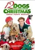 12 рождественских собак 2 / 12 Dogs of Christmas: Great Puppy Rescue (2012) фильм смотреть онлайне бесплатно Смотреть 12 рождественских собак 2 / 12 Dogs of Christmas: Great Puppy Rescue(2012) фильм в онлайне бесплатно