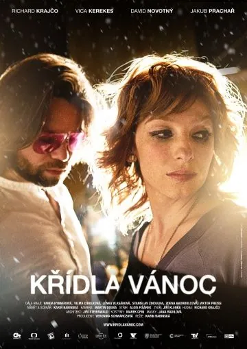 Крылатое Рождество / Krídla Vánoc (2013) фильм смотреть онлайн Крылатое Рождество / Krídla Vánoc (2013) фильм смотреть онлайн в хорошем качестве