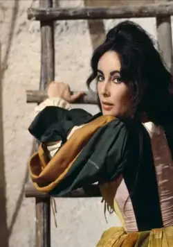 Укрощение строптивой (1967) смотреть онлайн бесплатно Укрощение строптивой (1967) фильм смотреть онлайн бесплатно