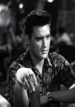 Голубые Гавайи (1961) в хорошем качестве смотреть онлайн Голубые Гавайи (1961) фильм в хорошем качестве смотреть онлайн