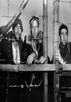 Лагерь для военнопленных №17 (1952) смотреть онлайн Лагерь для военнопленных №17 (1952) фильм смотреть онлайн