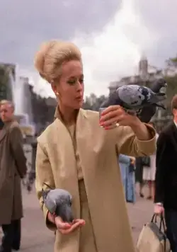 Птицы (1963) смотреть онлайн бесплатно Птицы (1963) фильм смотреть онлайн бесплатно