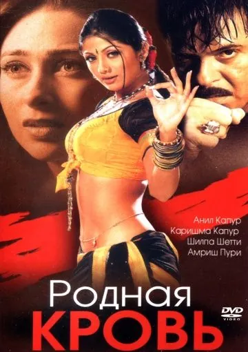 Родная кровь / Rishtey (2002) фильм смотреть онлайн в хорошем качестве