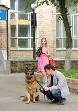 Лорд. Пёс-полицейский (2012) смотреть онлайн бесплатно Лорд. Пёс-полицейский (2012) сериал смотреть онлайн бесплатно