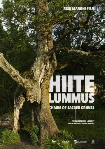 Тайная роща / Hiite lummus (2013) фильм смотреть онлайн Тайная роща / Hiite lummus (2013) фильм смотреть онлайн в хорошем качестве