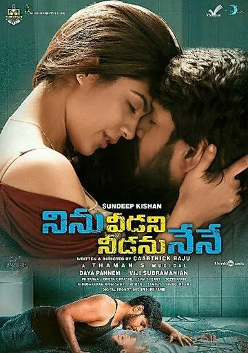 Ninu Veedani Needanu Nene (2019) фильм смотреть онлайн в хорошем качестве