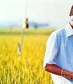 Все о Лили Чоу-Чоу (2001) смотреть онлайн Все о Лили Чоу-Чоу (2001) фильм смотреть онлайн