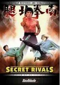 Тайные соперники / Nan quan bei tui (1976) фильм смотреть онлайн в хорошем качестве