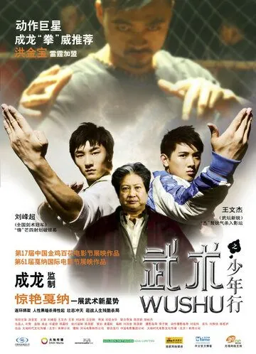 Ушу / Wushu (2008) фильм смотреть онлайн в хорошем качестве