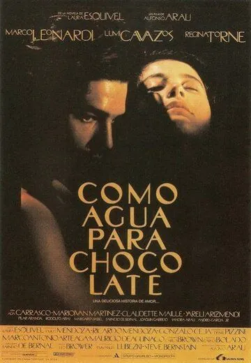 Как вода для шоколада / Como agua para chocolate (1991) фильм смотреть онлайн в хорошем качестве