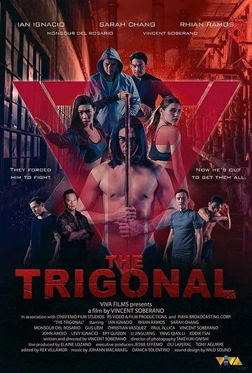 Тригонал: Борьба за справедливость / The Trigonal: Fight for Justice (2018) фильм смотреть онлайн в хорошем качестве