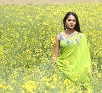 Дон №1 (2007) смотреть онлайн Дон №1 (2007) фильм смотреть онлайн