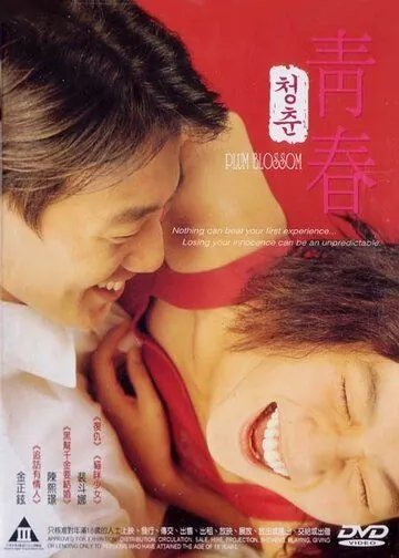 Сливовый цвет / Cheongchun (2000) фильм смотреть онлайн в хорошем качестве