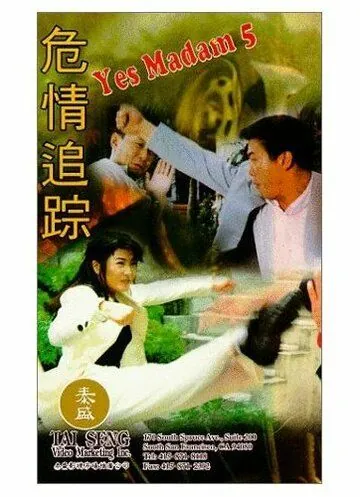 Да, мадам 5 / Wei qing zhui zong (1996) фильм смотреть онлайн в хорошем качестве