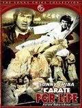 Обреченный на одиночество 3 / Karate baka ichidai (1977) фильм смотреть онлайн в хорошем качестве