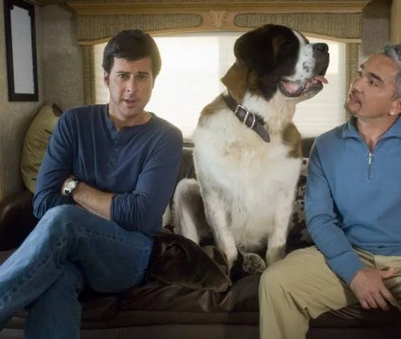 Бетховен: Большой бросок (2008) смотреть онлайн Бетховен: Большой бросок (2008) фильм смотреть онлайн