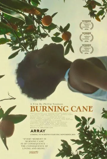 Горящий тростник / Burning Cane (2019) фильм смотреть онлайн Горящий тростник / Burning Cane (2019) фильм смотреть онлайн в хорошем качестве